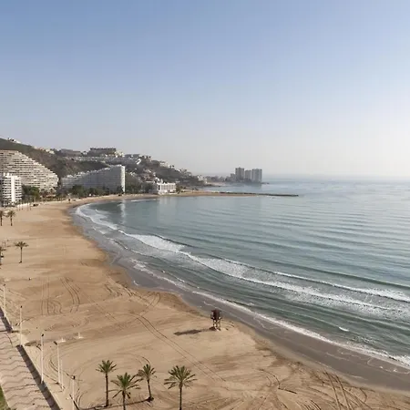 Florazar-3, 14-e Cullera