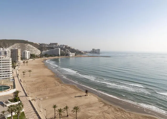 Florazar-3, 14-e Cullera